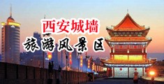 很鲁很射图中国陕西-西安城墙旅游风景区